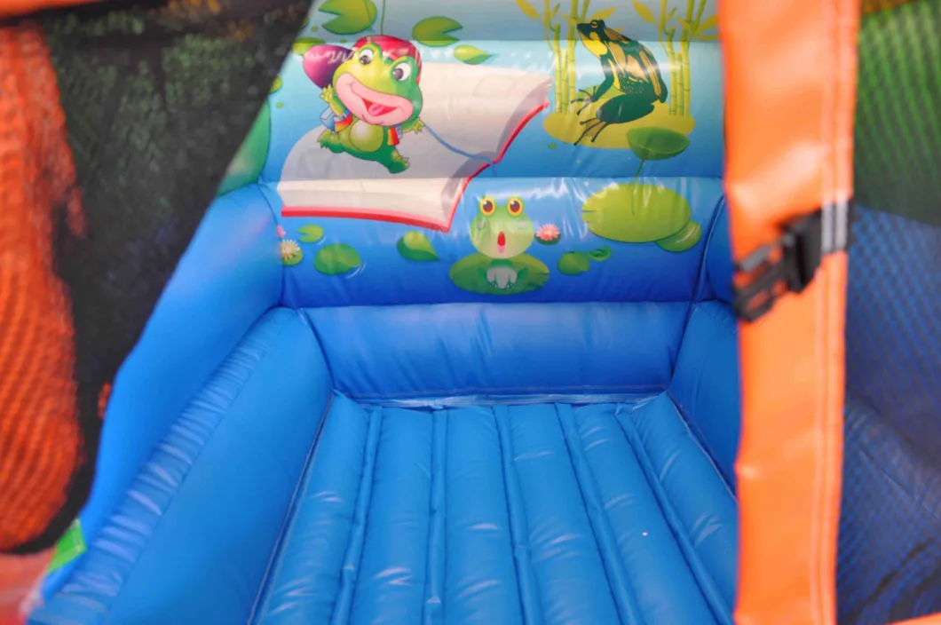 Small Jump Inflatable Frog Combo Bouncer for Sale (AQ2384)