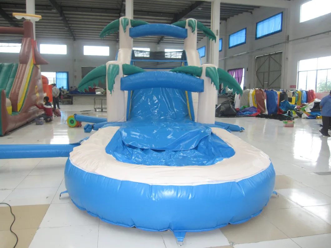 Wet and Dry Inflatable Slides (AQ1003-2)