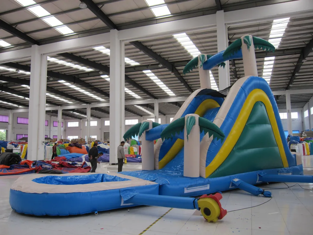 Wet and Dry Inflatable Slides (AQ1003-2)