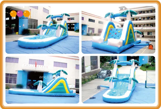 Wet and Dry Inflatable Slides (AQ1003-2)