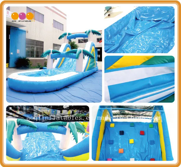 Wet and Dry Inflatable Slides (AQ1003-2)