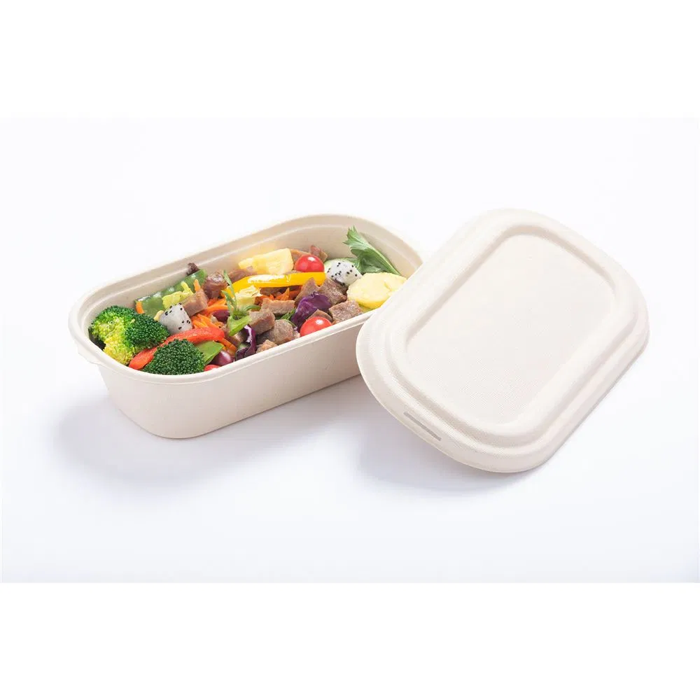 750ml Oval Dish Plate Bagasse Tableware Disposable Sugarcane Bowl