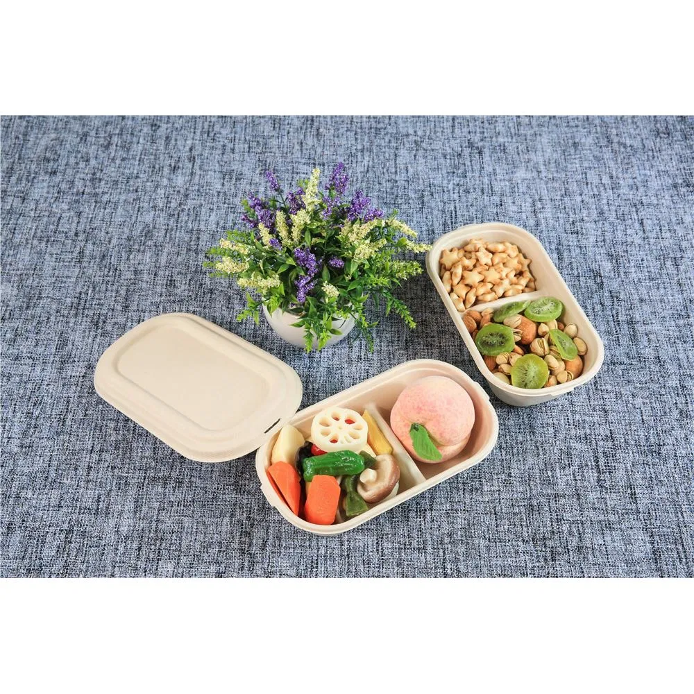 Biodegradable Kraft Salad Bowl with Lid