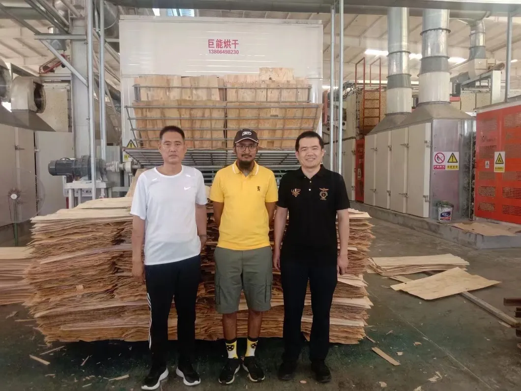 25 Layers Hot Press Machine for Plywood Peoduction Line