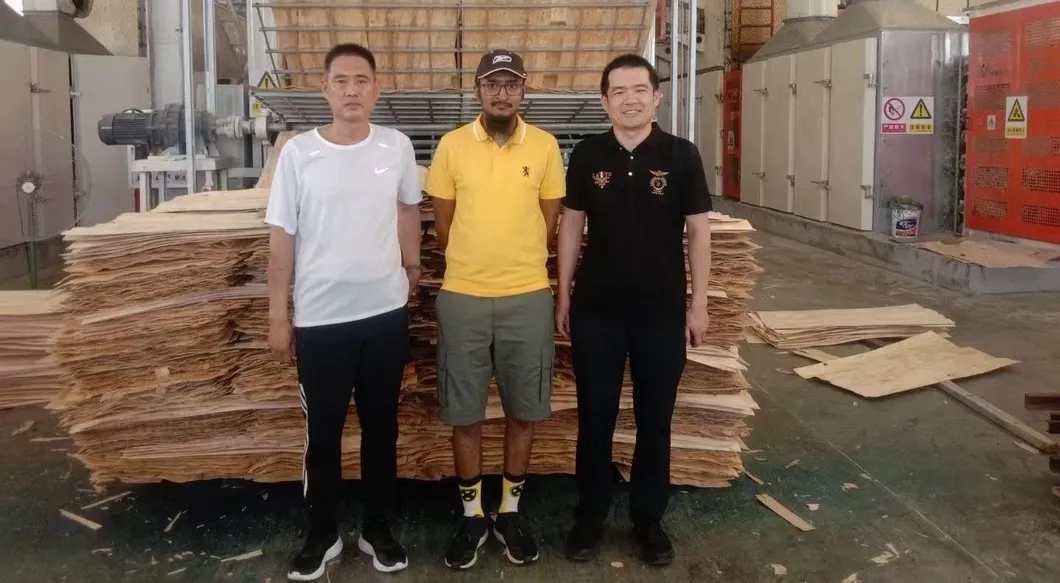 600 Tons15 Layers Hot Press Machine for Woodworking