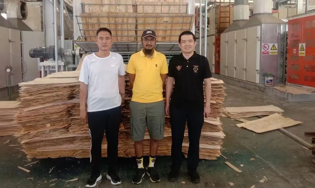 Advanced Wood Panel Hot Press Machine for Door Manufacturing