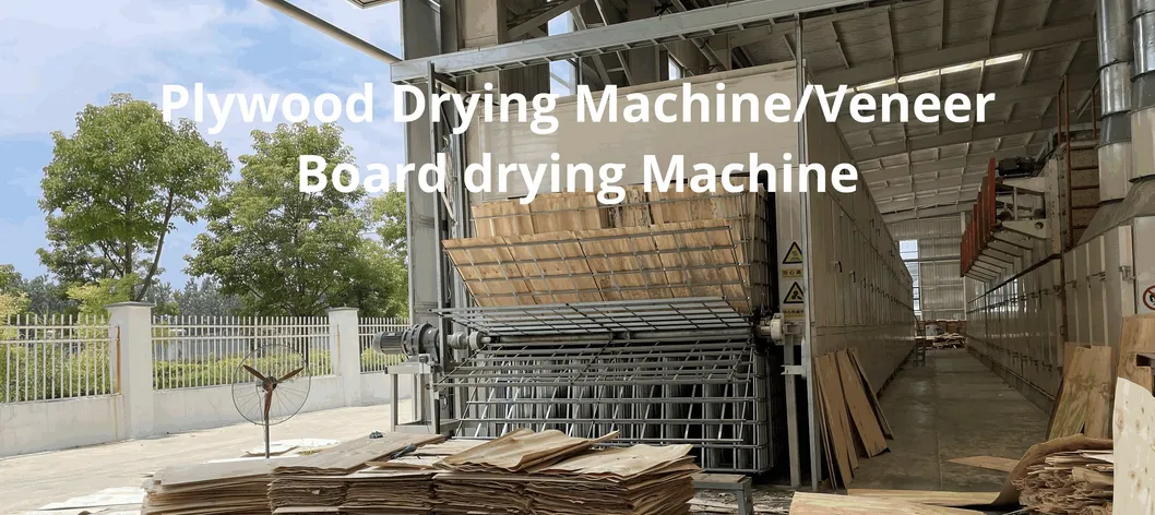 2 Decks Veneer Drying Machine for Plywood Making