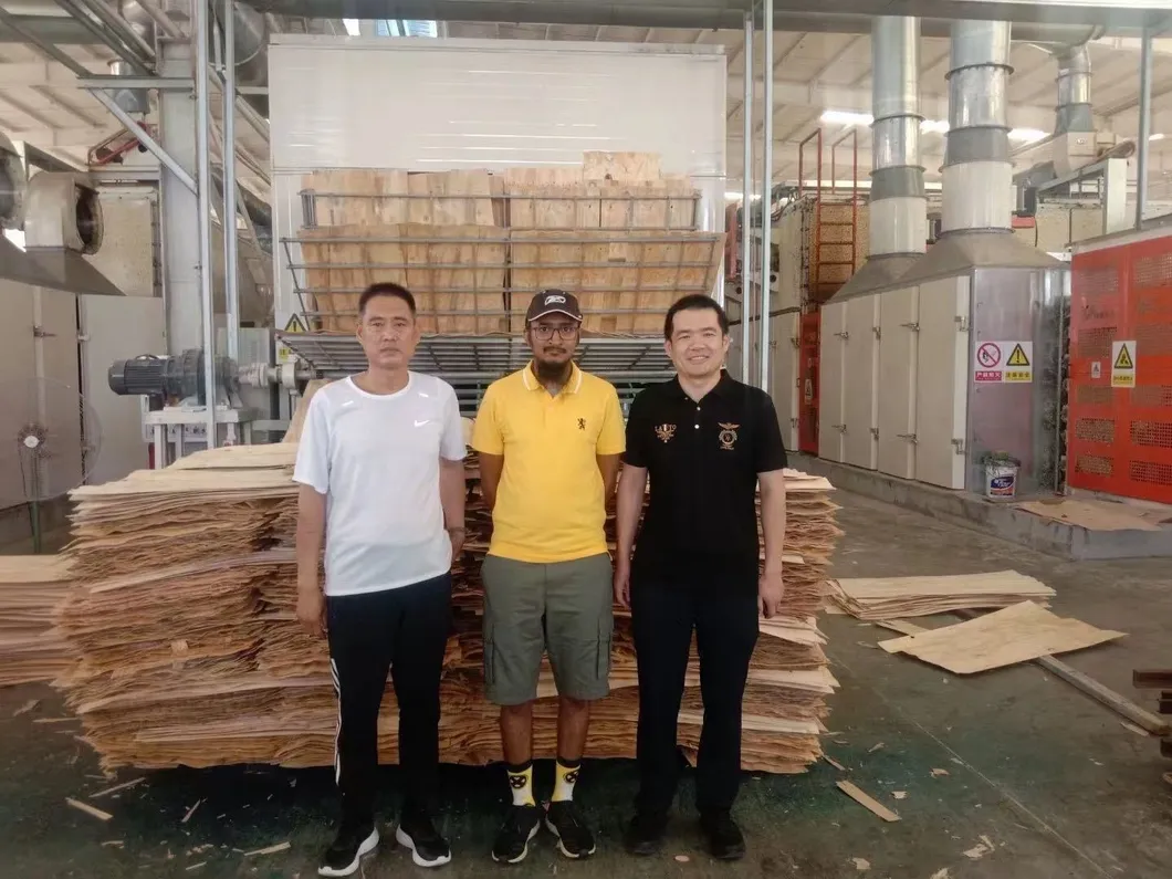 Continuous Roller and Mesh Veneer Drying Machine for Wood