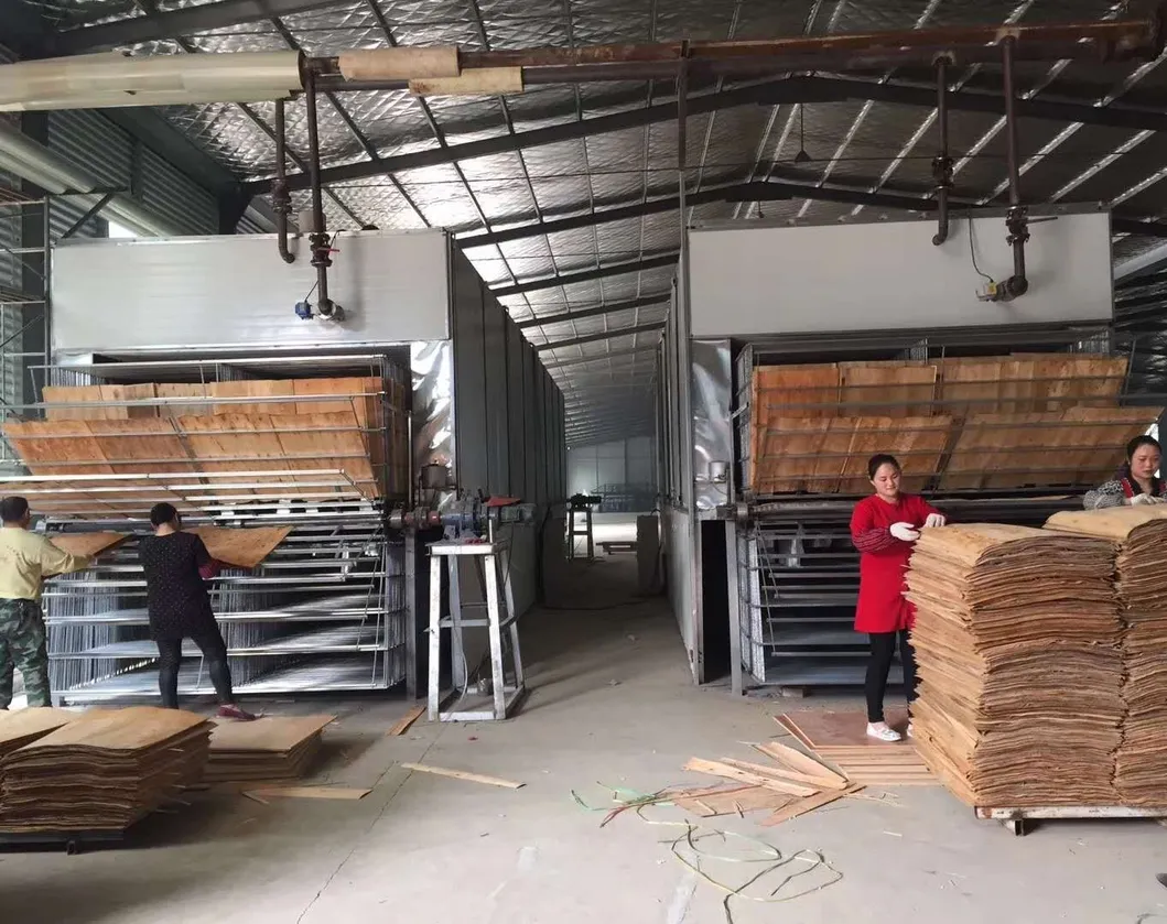 Efficient Plywood Veneer Drying Machine