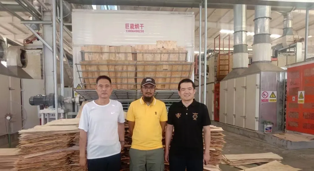 Efficient Wood Veneer Drying Machine for Plywood