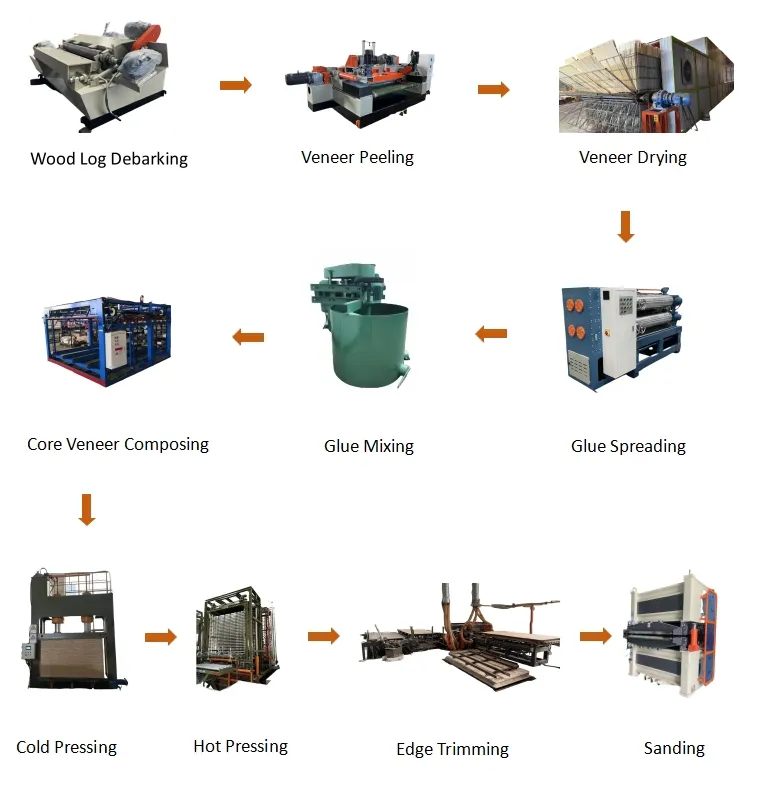 Glue Spreading Machine for Plywood Production