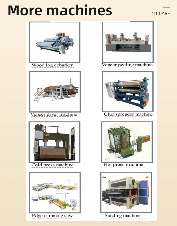 Manufacturer of Wood Veneer Glue Spreader Machine for Plywood