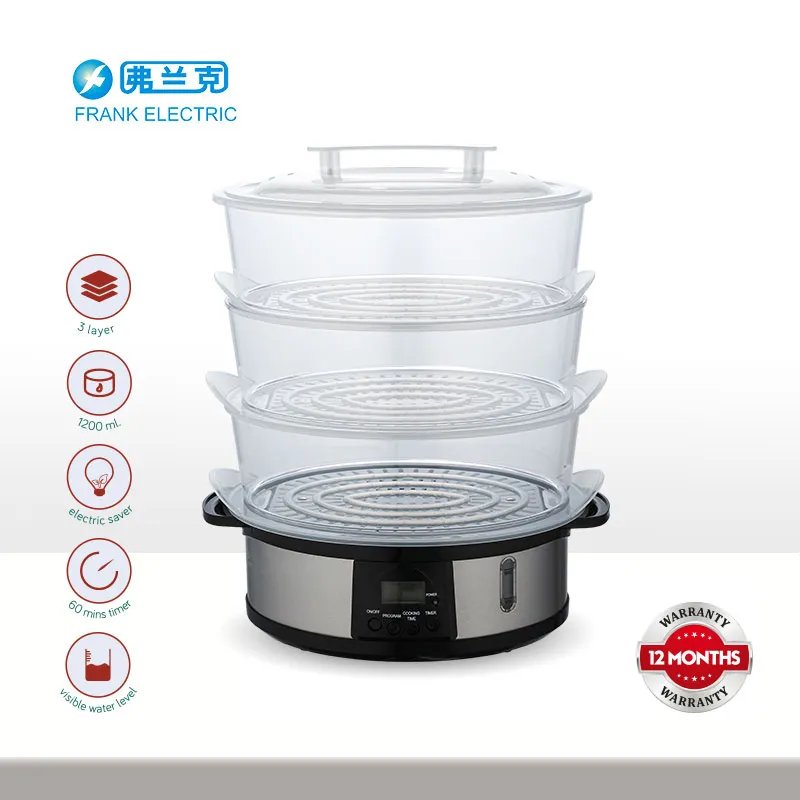 Electric Steamer Home Use 220V