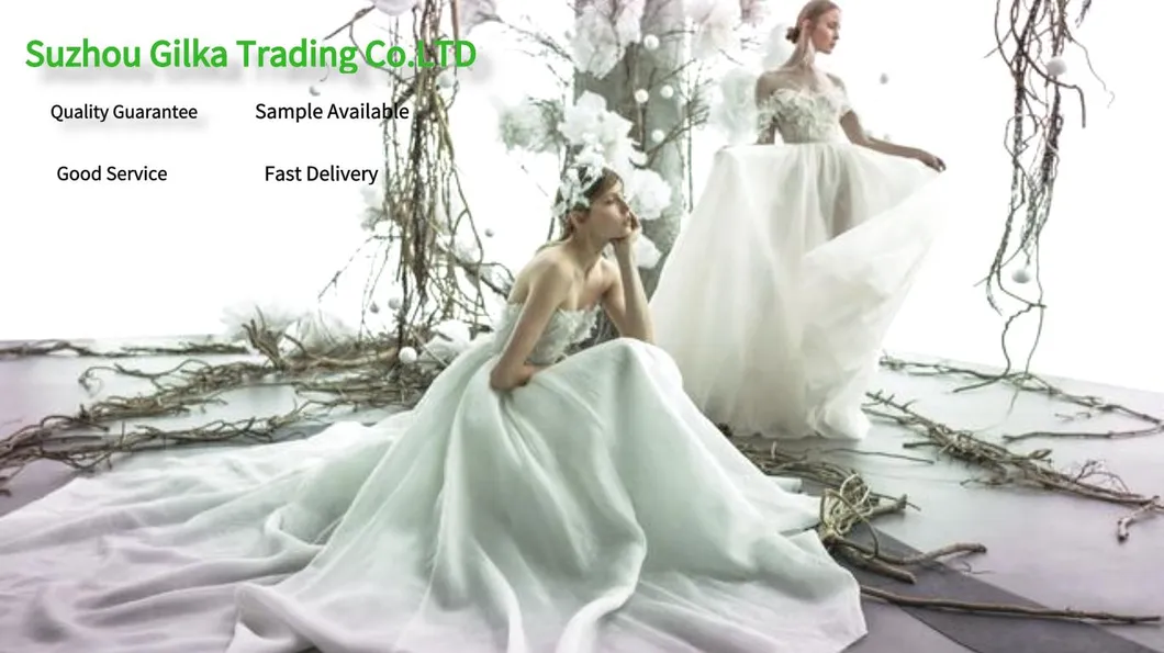 Manufacturer′s Direct Sales 3D Sequins Bead Tube Embroidery Fabric for Wedding Dresses