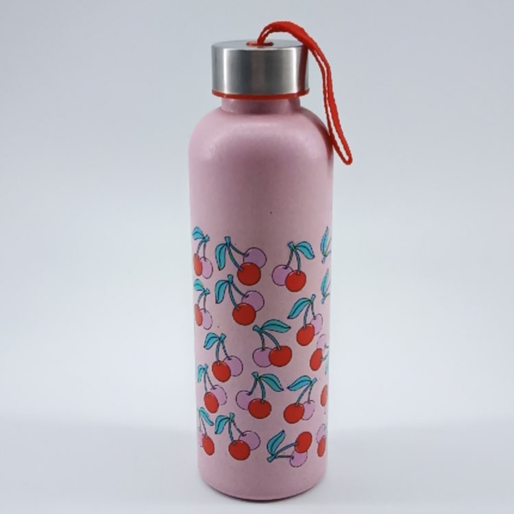 Ecofriendly cartoon style ecofriendly wheat straw water bottle 600ml with stainless steel lid