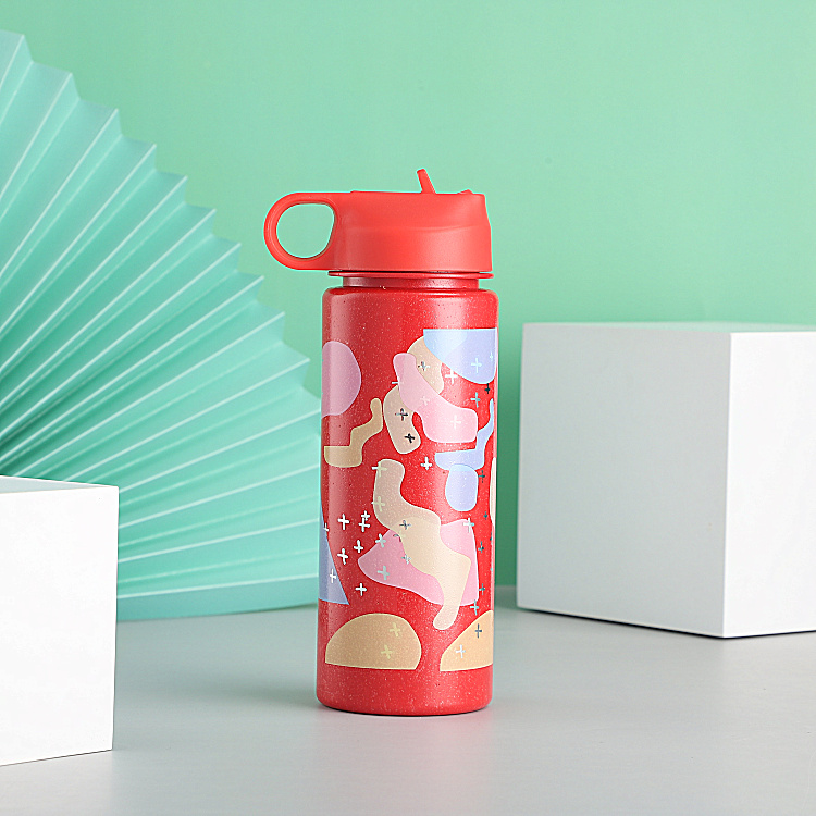 NEW product 2024 customized bpa free 700ml degradable material 24oz Plastic Wheat Straw Water Bottle for kids