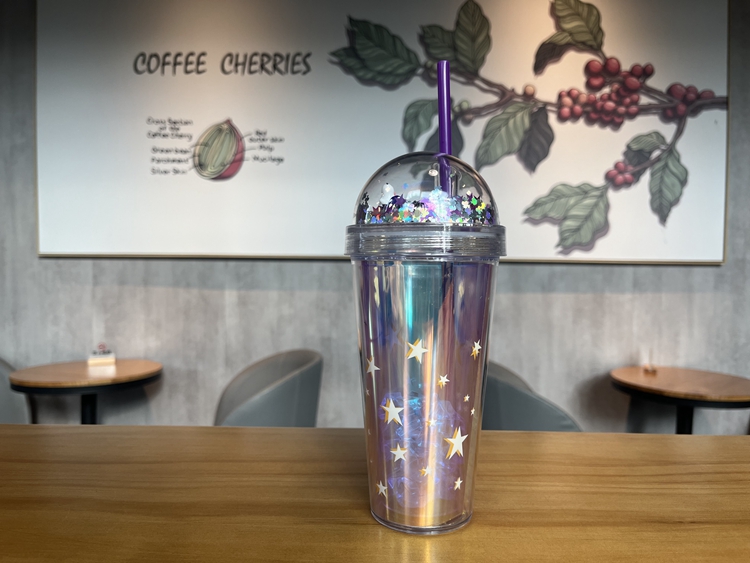 OXSY OEM/ODM bpa free custom Gift Reusable Coffee Cup Plastic Snow Globe Glitter Insulated Double Wall Clear Acrylic Tumbler cup