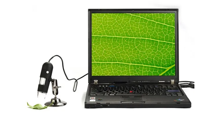 1000X RoHS USB Portable Digital Microscope