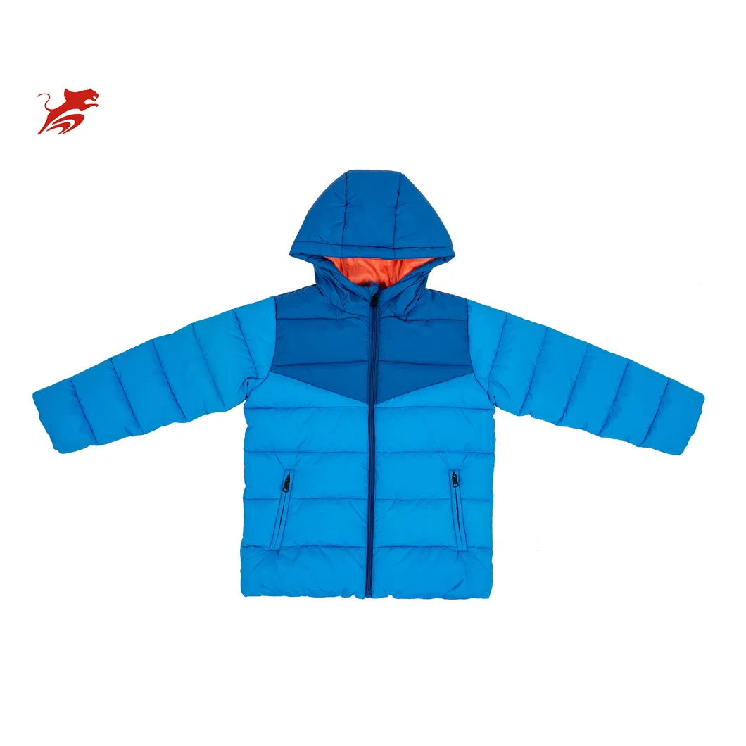 Asiapo China Factory Custom Kids Boys Warm Clothes Winter Wear Outdoor Sports Skin-Friendly Hooded Puffer Jackets