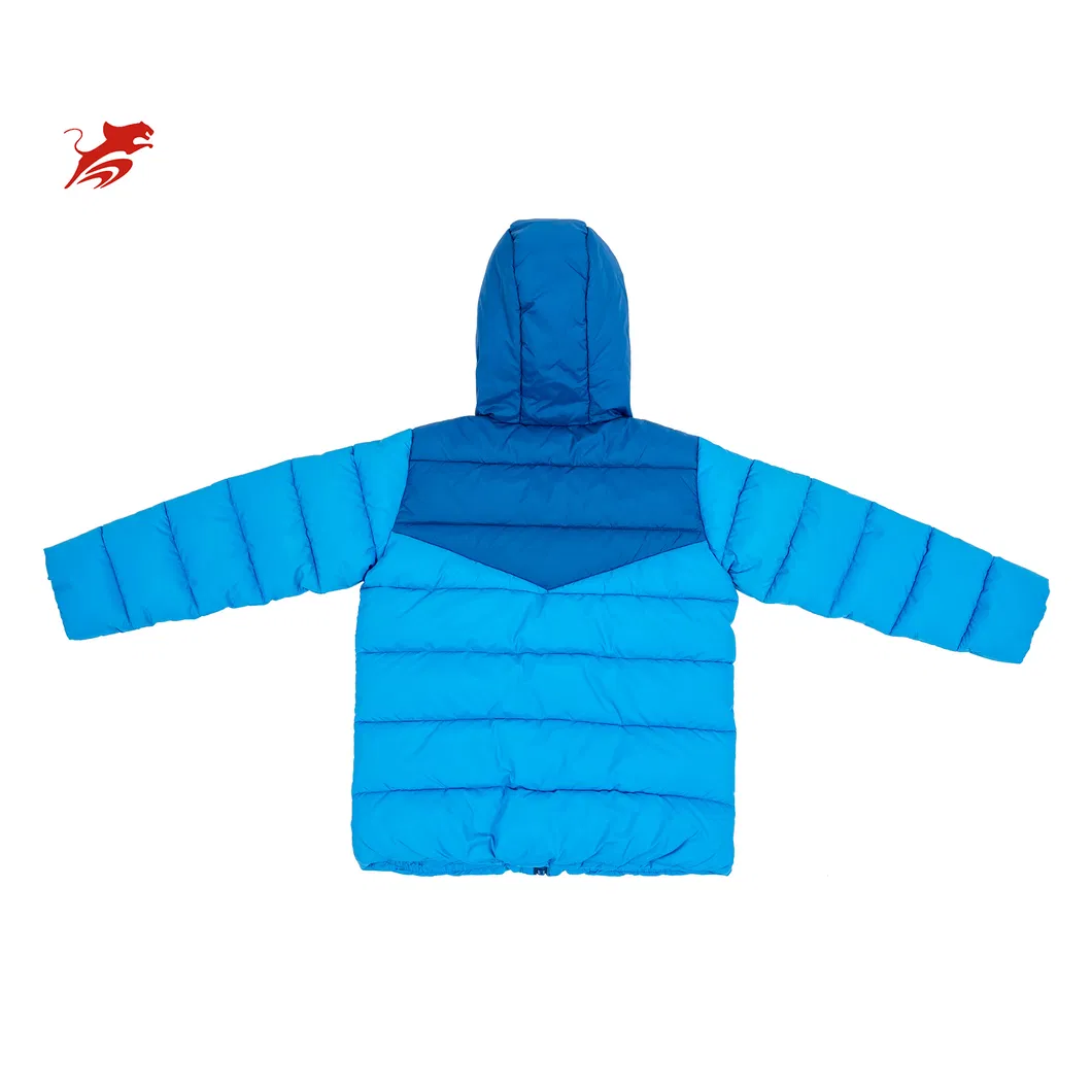 Asiapo China Factory Custom Kids Boys Warm Clothes Winter Wear Outdoor Sports Skin-Friendly Hooded Puffer Jackets