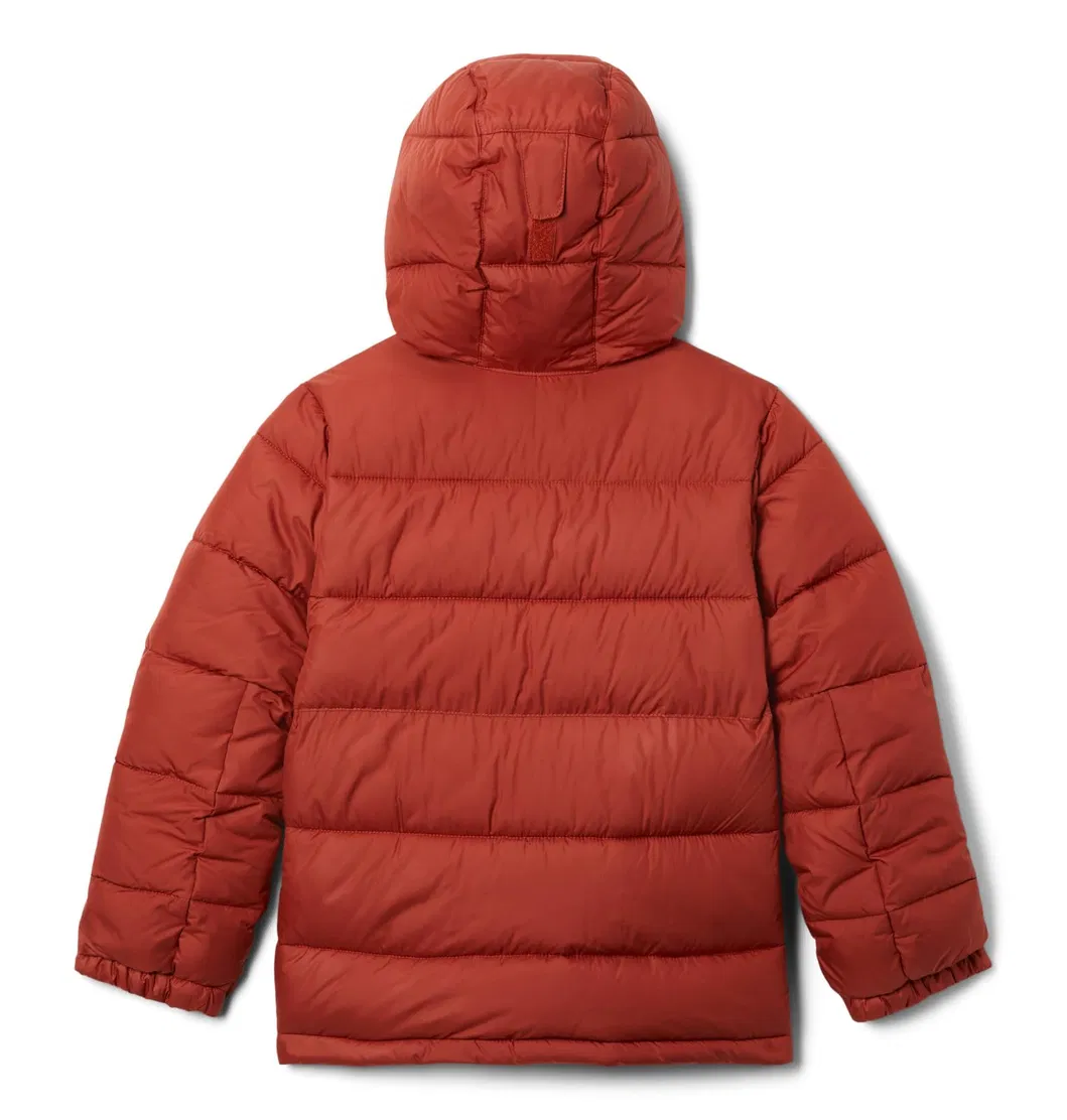 Asiapo China Factory Winter Warm Casual Cool Hooded Quilted Puffer Jacket for Boys Girls