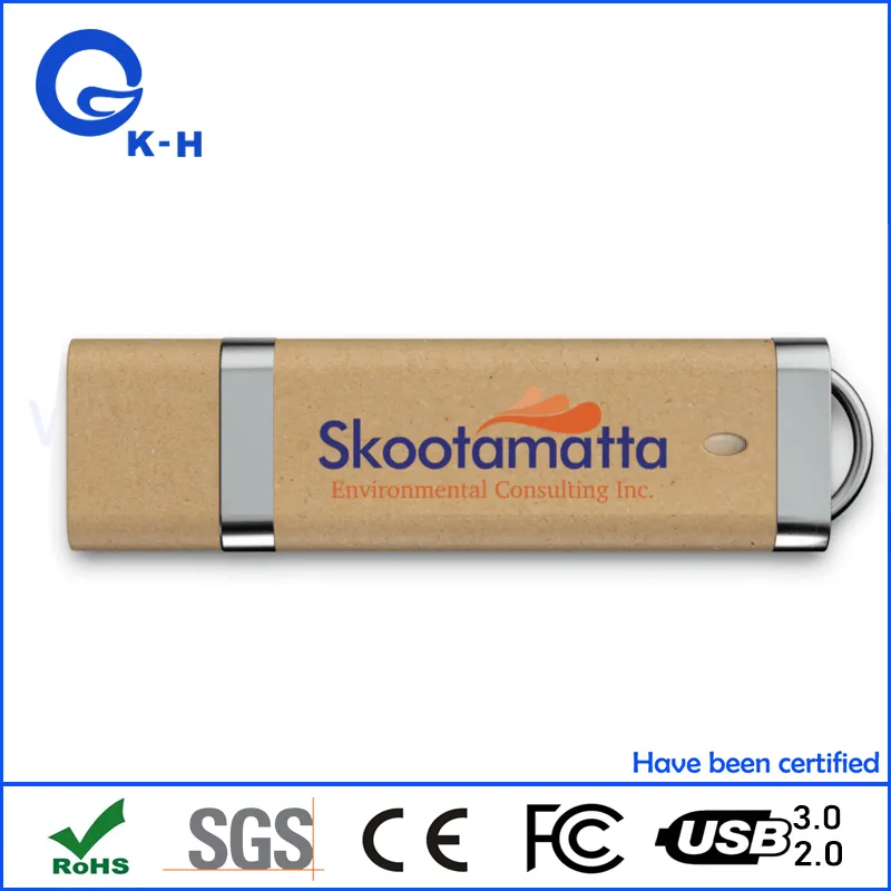 Eco-Friendly Paper U Disk 512MB 2GB 4GB USB Flash Drive