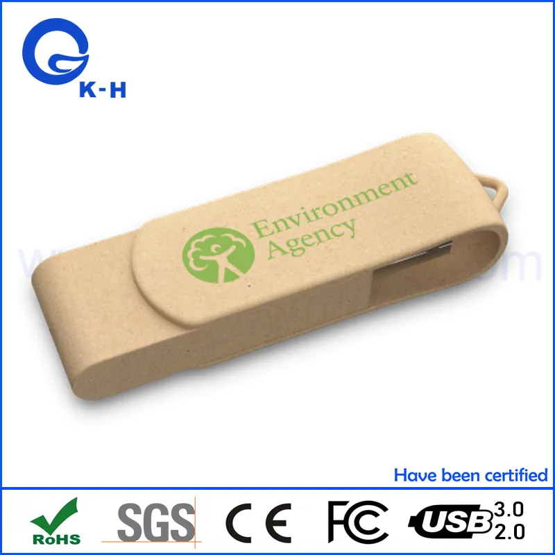 Eco Friendly USB 1GB 2GB Swivel Memory Pendrive 4GB 8GB