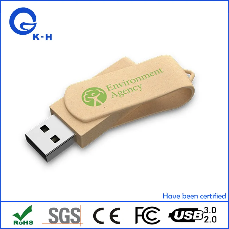 Eco Friendly USB 1GB 2GB Swivel Memory Pendrive 4GB 8GB