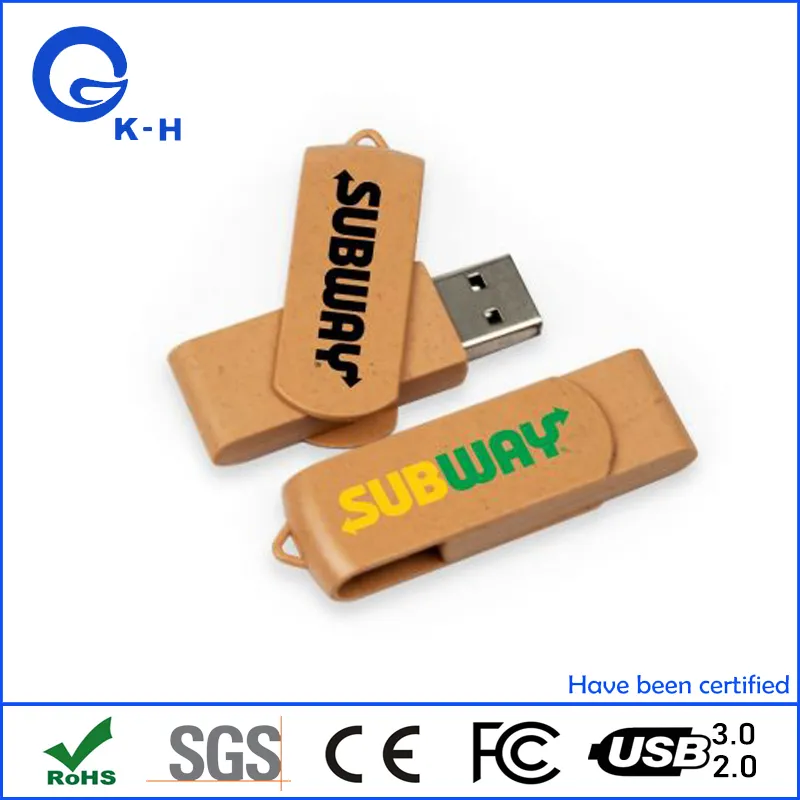 Eco Friendly USB 1GB 2GB Swivel Memory Pendrive 4GB 8GB