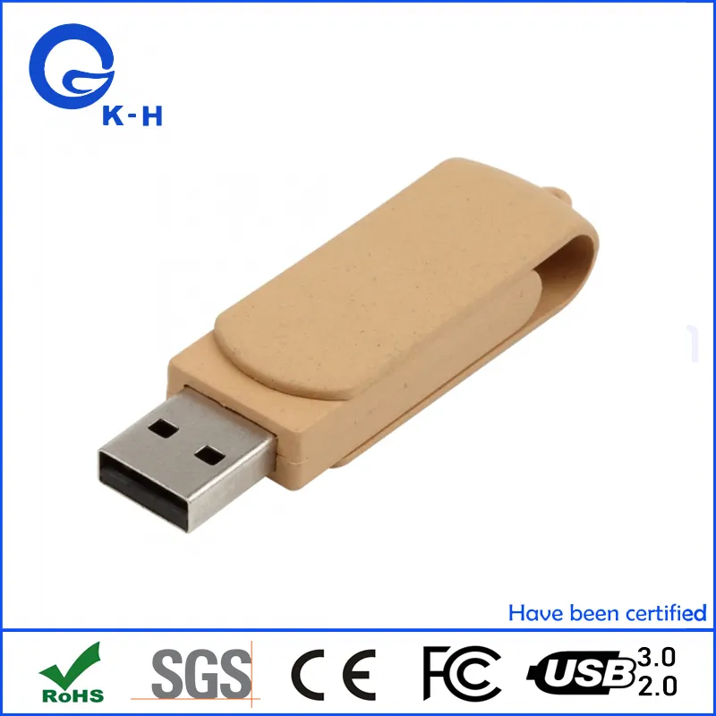 Eco Friendly USB 1GB 2GB Swivel Memory Pendrive 4GB 8GB