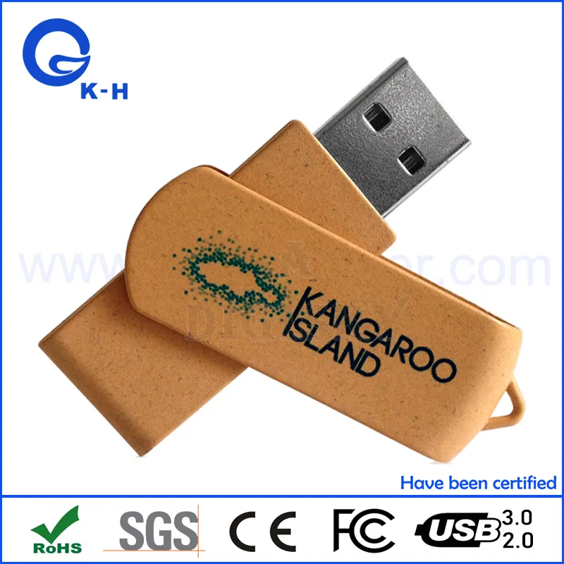 Eco Friendly USB 1GB 2GB Swivel Memory Pendrive 4GB 8GB