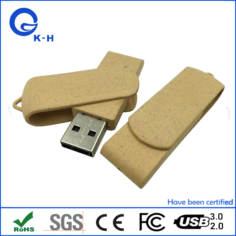 Eco Friendly USB 1GB 2GB Swivel Memory Pendrive 4GB 8GB