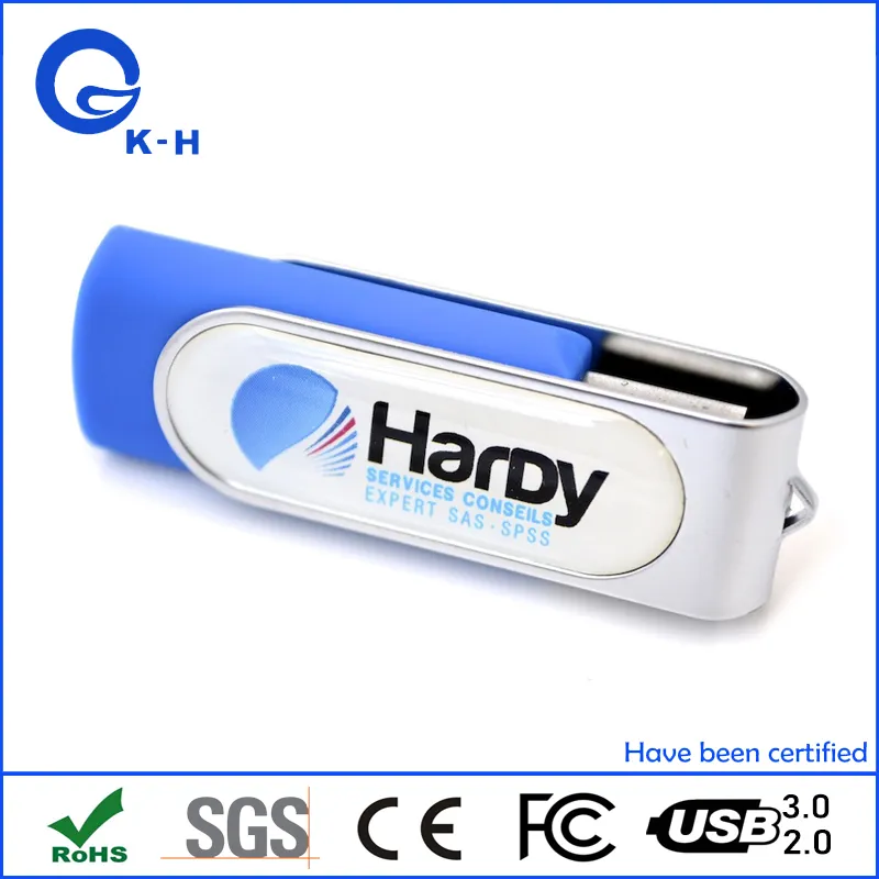 Epoxy Dome Logo Swivel USB 2.0 3.0 U Flash Disk 16GB 32GB 64GB