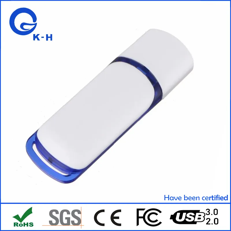 Hot Sales Plastic USB 2.0 Flash Pen Drive 4GB 8GB