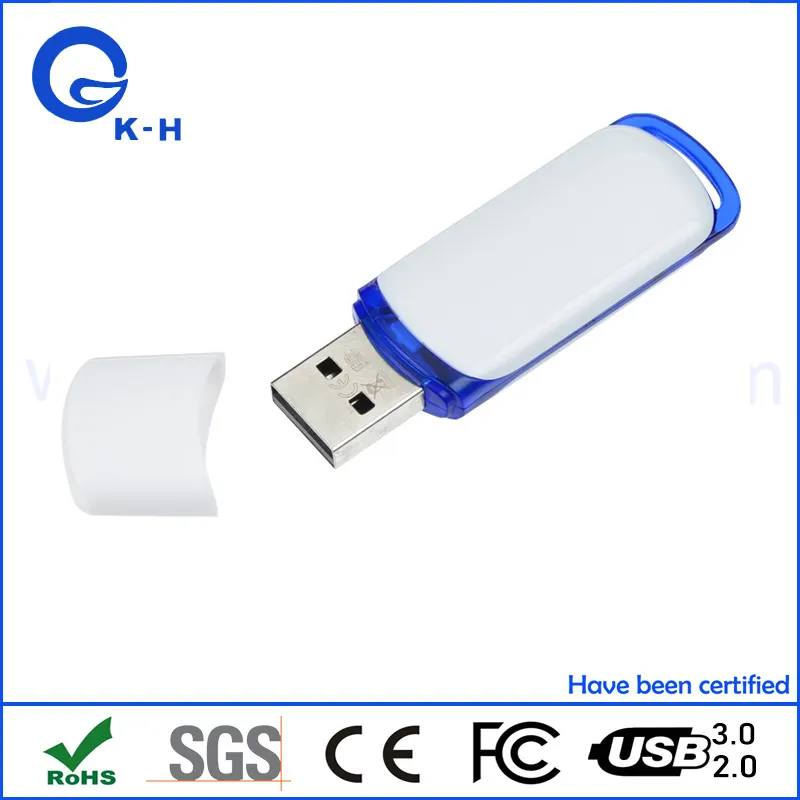 Hot Sales Plastic USB 2.0 Flash Pen Drive 4GB 8GB