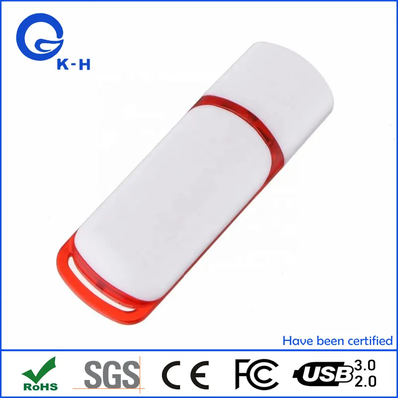 Hot Sales Plastic USB 2.0 Flash Pen Drive 4GB 8GB