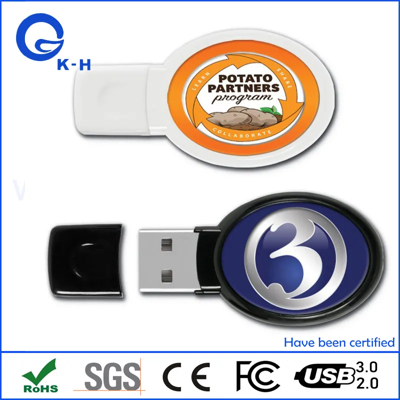 Oval Epoxy Dome USB Flash Memory Stick 1GB 2GB 4GB