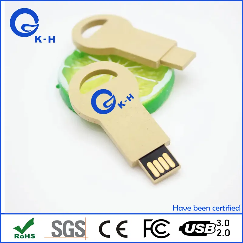 Recycle Paper 16GB Degradable Material USB 2.0 3.0 Flash Memory Disk