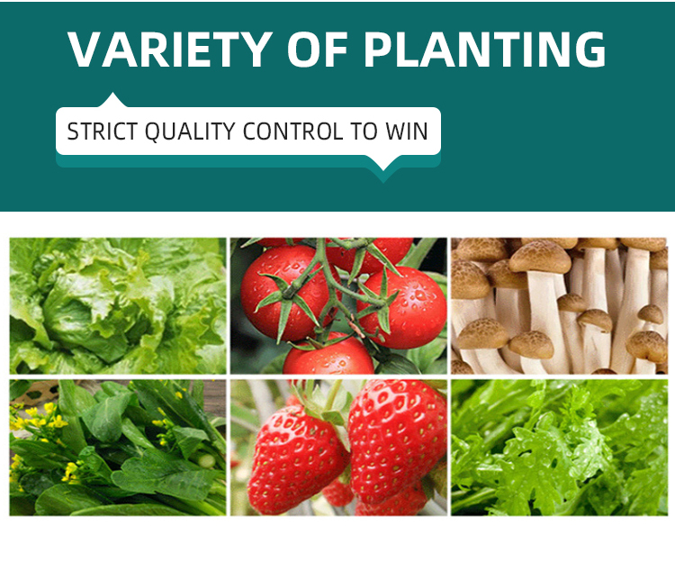 A simple PVC hydroponic device with different types of NFT channels for greenhouse hydroponic system components