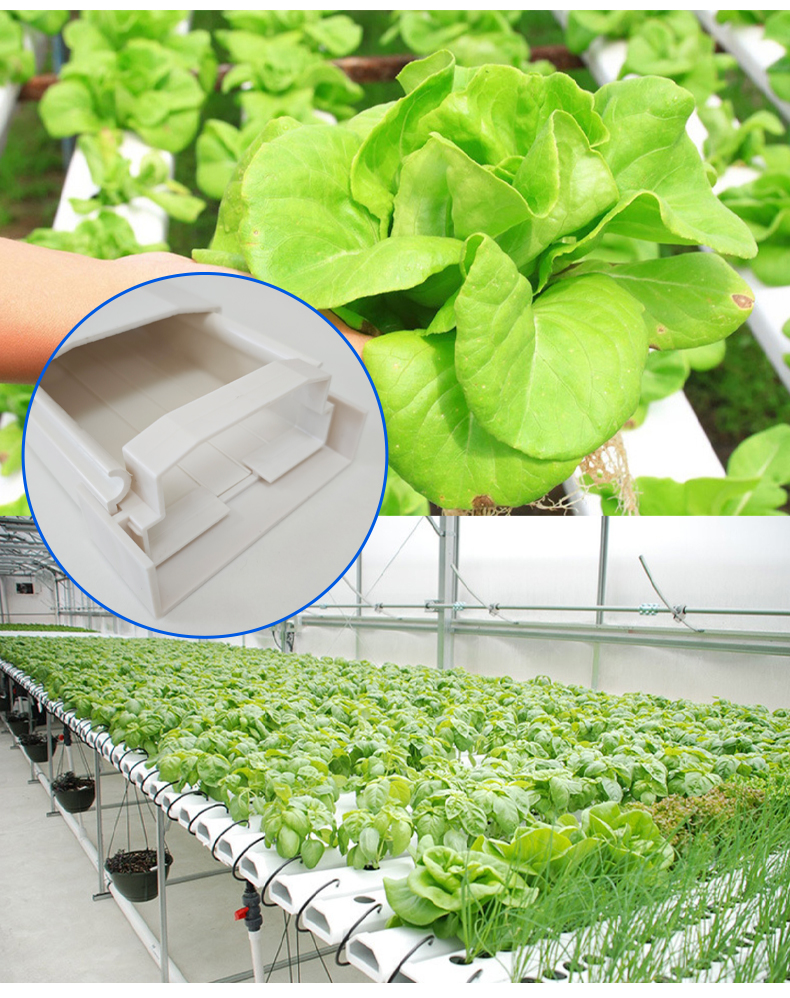 Agriculture Farm Complete Nft Channel Hydroponic Growing System Greenhouse Hydroponic Equipment For Lettuce