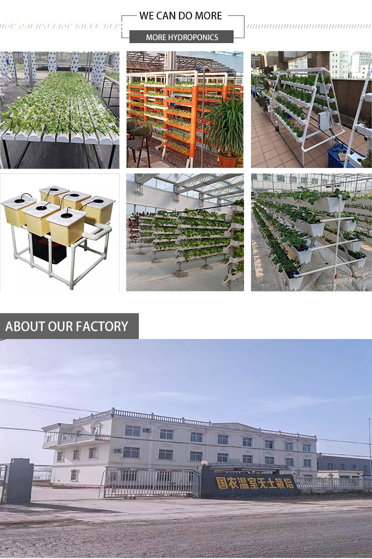 Greenhouse Food Grade Pvc Pipe Nft Channel Hydroponic Growing System Nft Pipes Hydroponics Factory Wholesale Factory