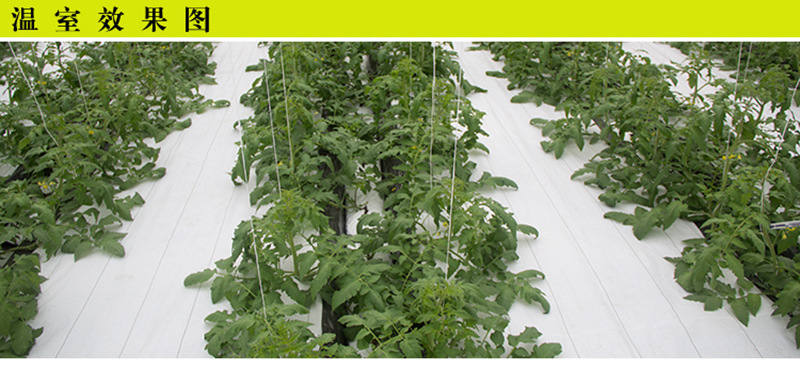 Weed Control Block Mat Fabric Cloth Weed Weed Non Woven For Agricultural Ground Cover Sunscreen Shade Net Production Facility Export
