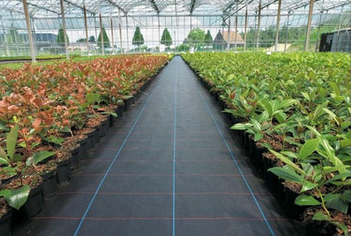 Weed Control Block Mat Fabric Cloth Weed Weed Non Woven For Agricultural Ground Cover Sunscreen Shade Net Production Facility Export