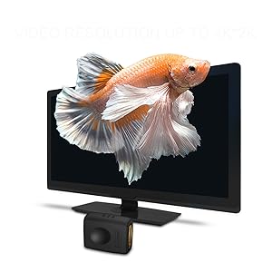 BENFEI HDMI Adapter Male to Female Right Angle 90 Degree-2 Pack China Supplier