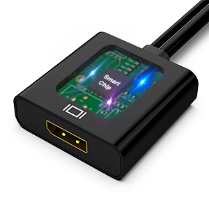 BENFEI HDMI to DisplayPort, Uni-Directional HDMI (Source) to DisplayPort (Display) Adapter 4K@60Hz/2K@144Hz/1080P@165Hz Export Manufacturing Efficiency