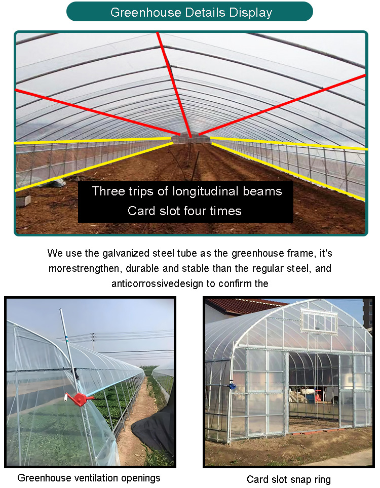 8x30m PE Agriculture Tomato plants Green house Frames Plastic Film Single Span Tunnel Greenhouses Factory Pricing Export