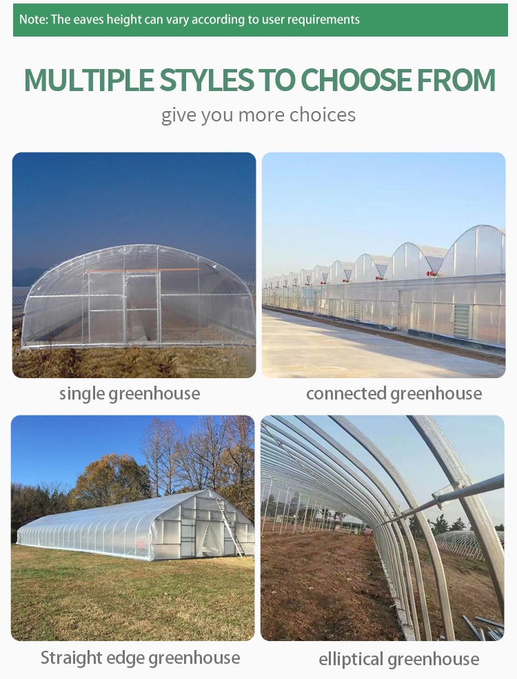 8x30m PE Agriculture Tomato plants Green house Frames Plastic Film Single Span Tunnel Greenhouses Factory Pricing Export