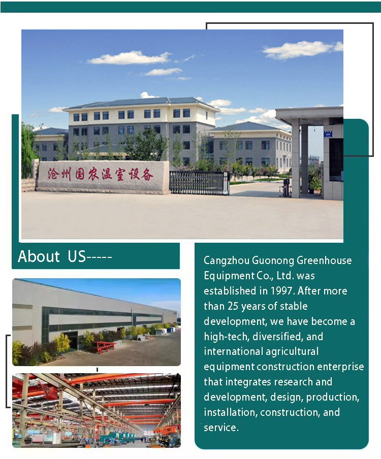 8x30m PE Agriculture Tomato plants Green house Frames Plastic Film Single Span Tunnel Greenhouses Factory Pricing Export