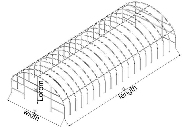 8x30m PE Agriculture Tomato plants Green house Frames Plastic Film Single Span Tunnel Greenhouses Factory Pricing Export