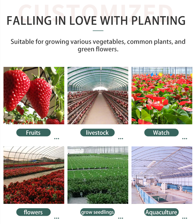 Agricultural Greenhouse Commercial Economic Tunnel Plastic Film Tomato Greenhouse Manufacturing & Supply